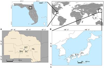 Leaf, root, and soil microbiomes of an invasive plant, Ardisia crenata, differ between its native and exotic ranges